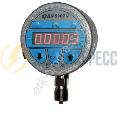 Манометр ДМ5002